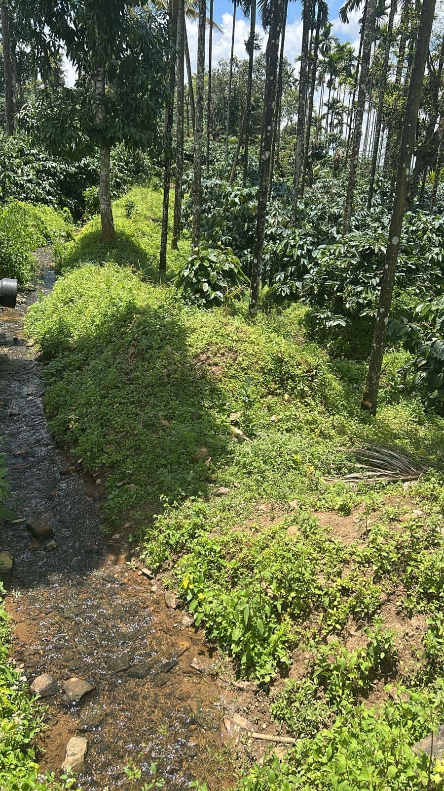Gallery image 0